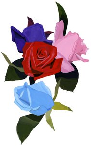 Immagine sconosciuta da Unbekannt Unbekannt